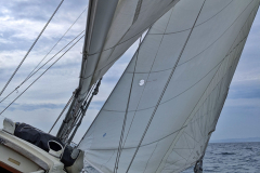 Windstärke 4-5, locker 8 Knoten Fahrt