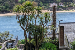 River Dart, subtropisch