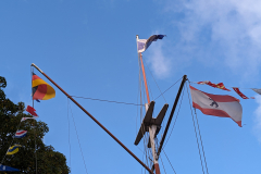 PXL_20231015_075543551