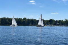 IMG-20240509-WA0019