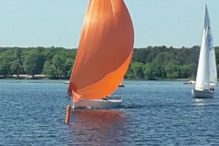 IMG-20240513-WA0005