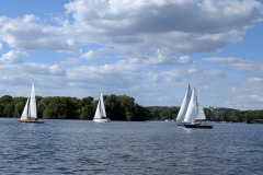 PXL_20250509_151319103 PXL_20250509_151319103