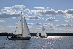 PXL_20250509_151555646 PXL_20250509_151555646