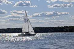 PXL_20250509_151616487 PXL_20250509_151616487