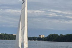 IMG-20250608-WA0003