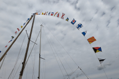 PXL_20240414_100543165