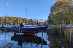 PXL_20221105_095612880