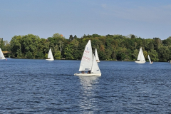 IMG-20240908-WA0002