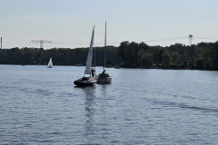 IMG-20240908-WA0005