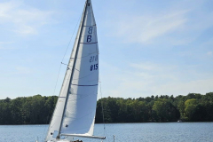 IMG-20240908-WA0007