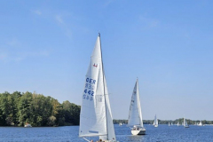 IMG-20240908-WA0008