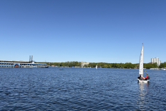 image6